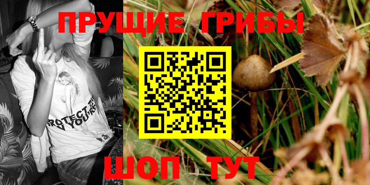 Псилоцибиновые грибы GOLDEN TEACHER Алапаевск