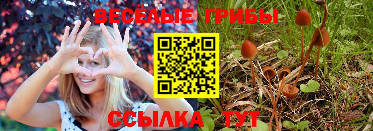 Алапаевск  Псилоцибиновые грибы MAGIC MUSHROOMS  Вход с VPN 